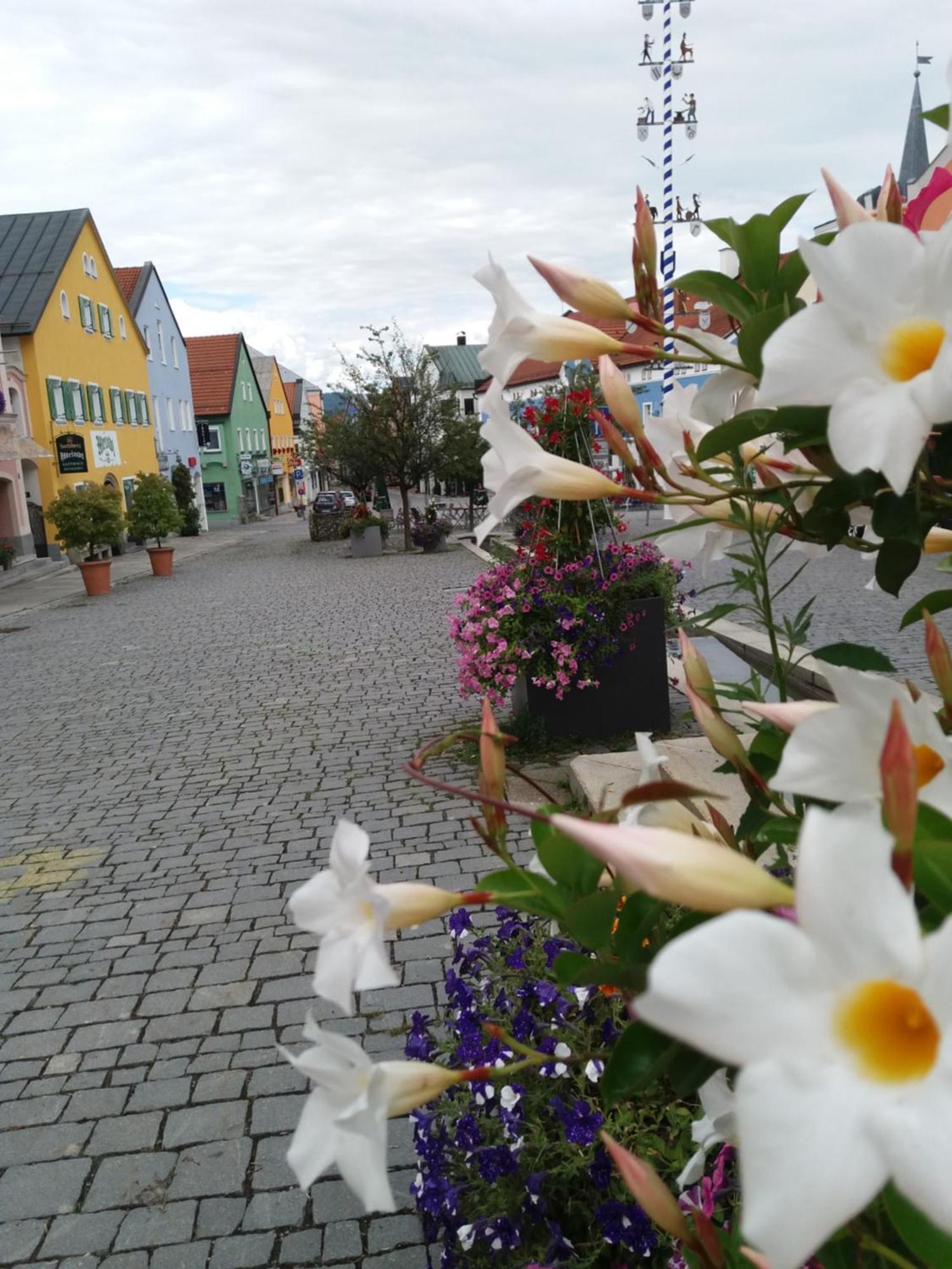 Ferienwohnung Bayerwaldblick Jandelsbrunn Buitenkant foto