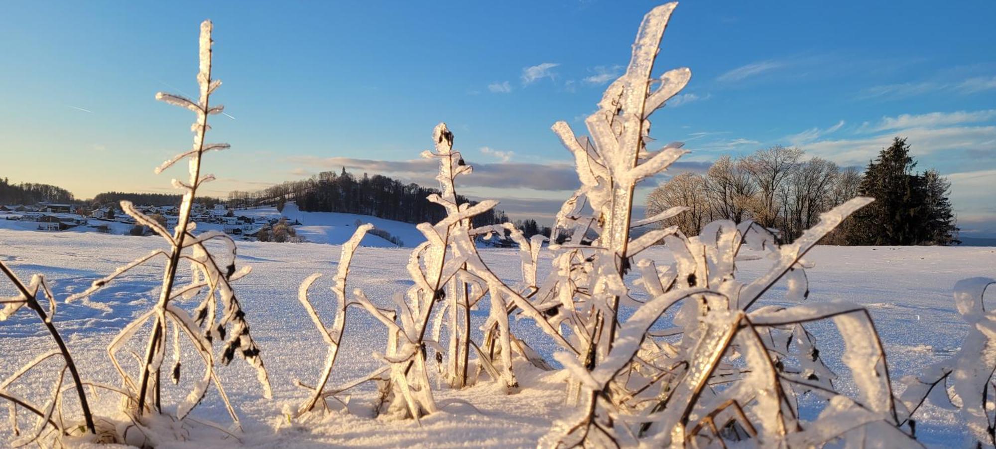 Ferienwohnung Bayerwaldblick Jandelsbrunn Buitenkant foto