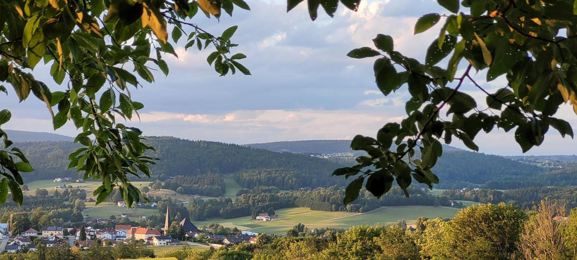 Ferienwohnung Bayerwaldblick Jandelsbrunn Buitenkant foto