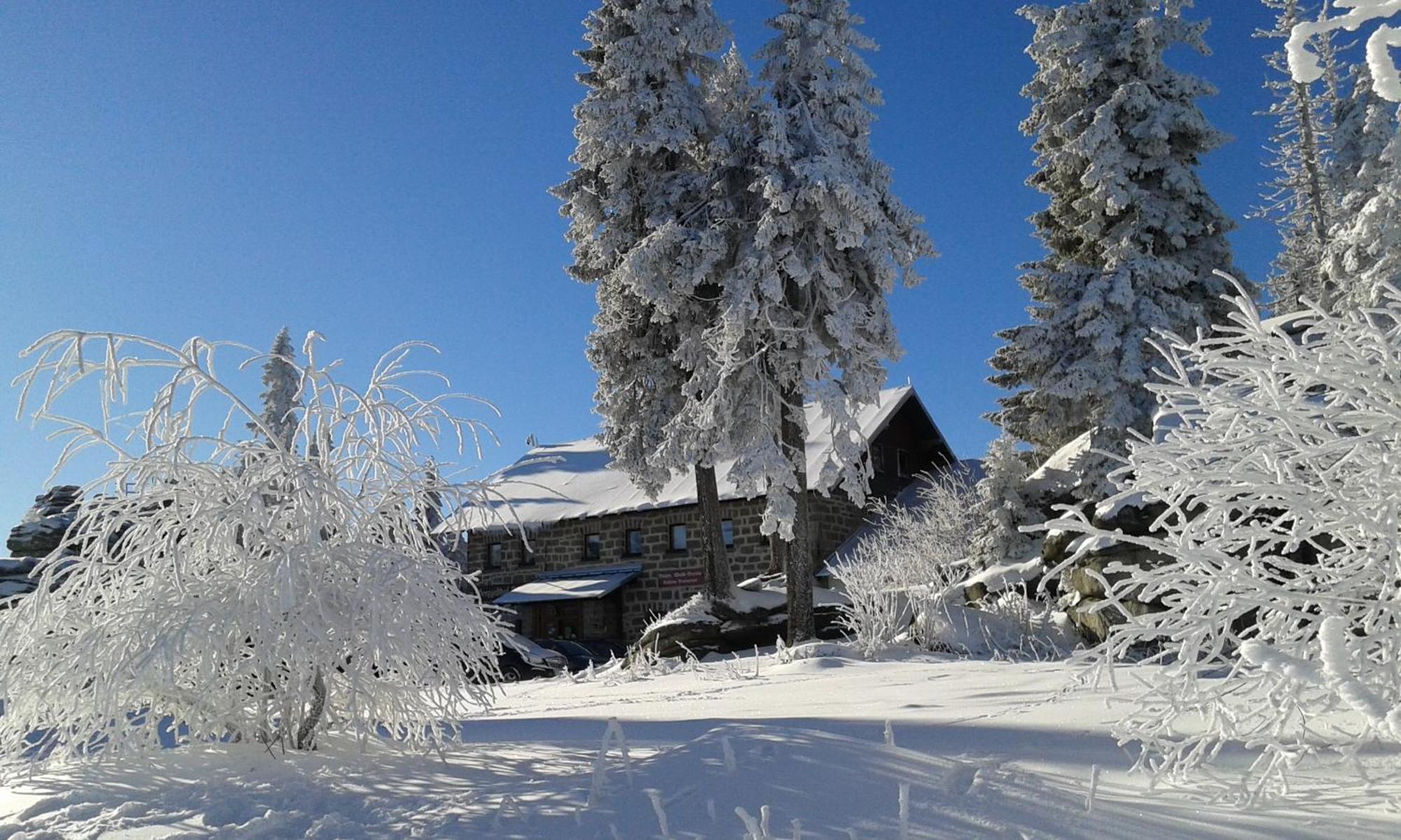 Ferienwohnung Bayerwaldblick Jandelsbrunn Buitenkant foto
