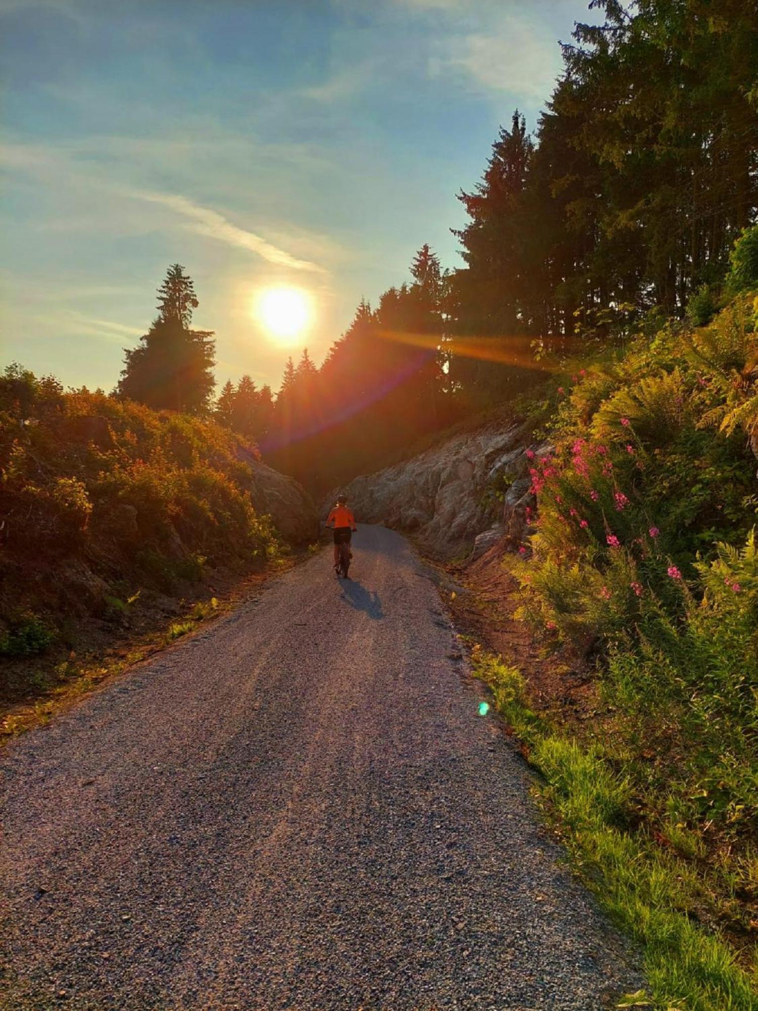 Ferienwohnung Bayerwaldblick Jandelsbrunn Buitenkant foto