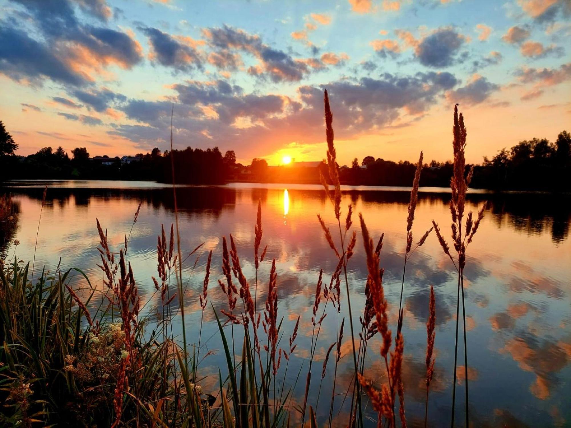 Ferienwohnung Bayerwaldblick Jandelsbrunn Buitenkant foto
