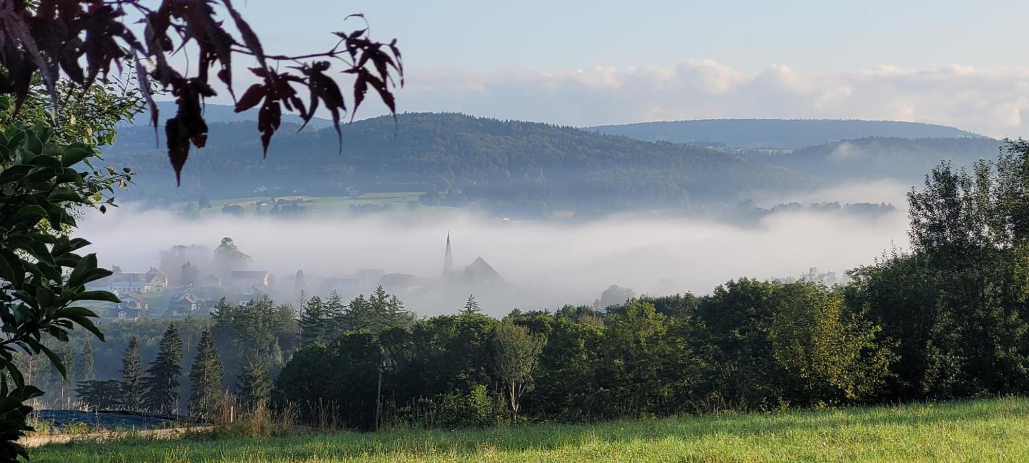 Ferienwohnung Bayerwaldblick Jandelsbrunn Buitenkant foto